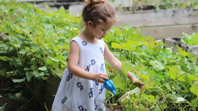 Let’s Dig In! Gardening with Young Children to Enhance their Development