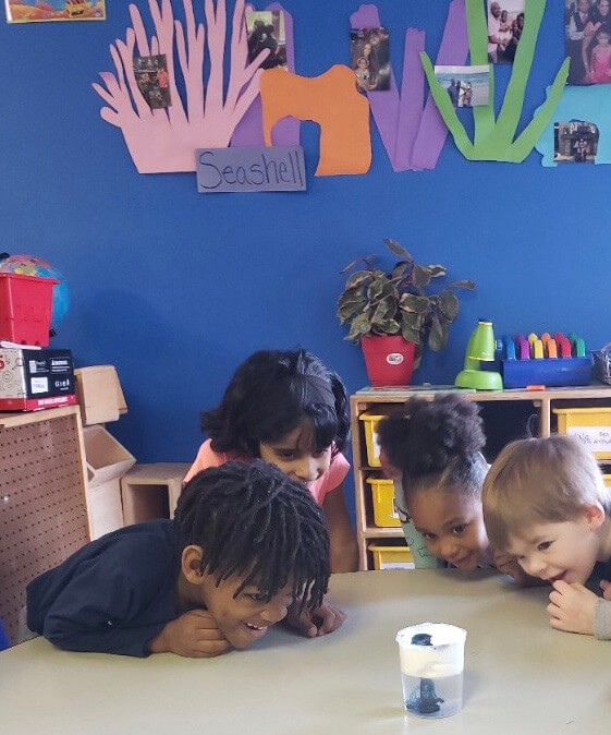 Сhildren at Georgia Pre-K class, at Mt. Elizabeth Academy, Daycare, preschool, Kennesaw Christian school, private school